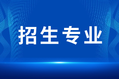 2024年安徽藝術學院專升本招生專業公布