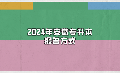 2024年安徽專升本報名方式