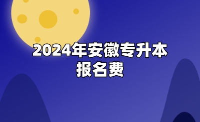 2024年安徽專升本報名費