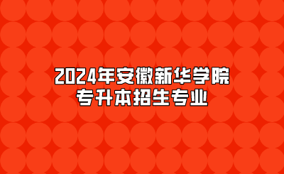 2024年安徽新華學院專升本招生專業