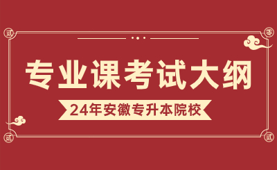 2024年安徽文達(dá)信息工程學(xué)院專升本學(xué)前教育專業(yè)課考試大綱