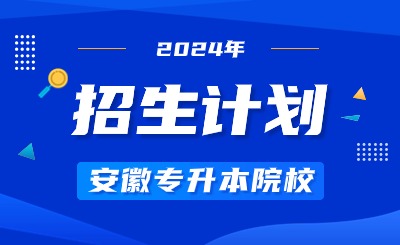 2024年銅陵學(xué)院專升本招生計劃