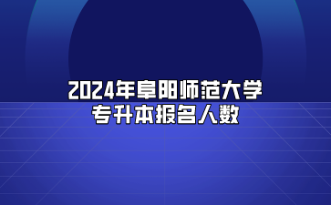 2024年阜陽師范大學專升本報名人數