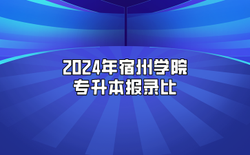 2024年宿州學院專升本報錄比