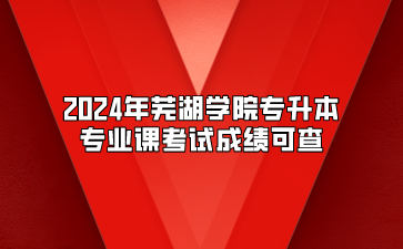2024年蕪湖學院專升本專業課考試成績可查
