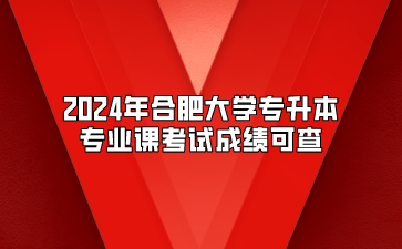 2024年合肥大學專升本專業課考試成績可查