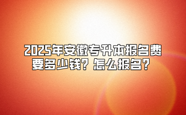 2025年安徽專升本報名費要多少錢？怎么報名？